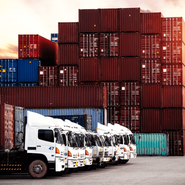 Flota de líneas de servicio KTC Brothers Panamá